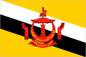 Brunei flag